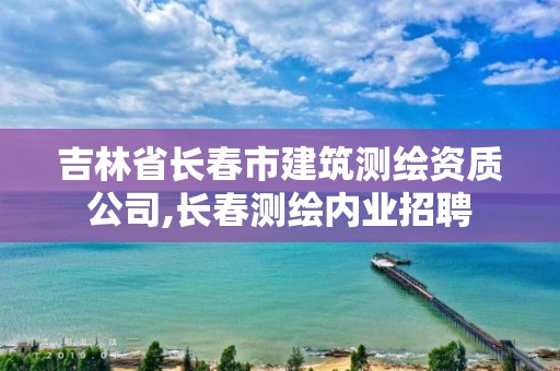 吉林省长春市建筑测绘资质公司,长春测绘内业招聘