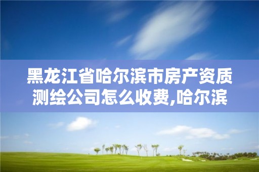 黑龙江省哈尔滨市房产资质测绘公司怎么收费,哈尔滨房屋测量公司收费标准。