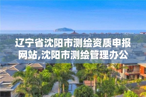 辽宁省沈阳市测绘资质申报网站,沈阳市测绘管理办公室