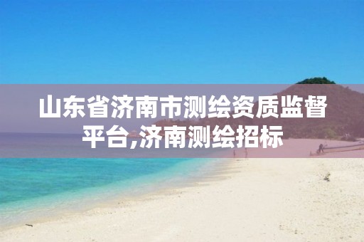 山东省济南市测绘资质监督平台,济南测绘招标