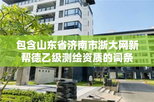 包含山东省济南市浙大网新帮德乙级测绘资质的词条