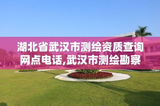 湖北省武汉市测绘资质查询网点电话,武汉市测绘勘察设计甲级资质公司。