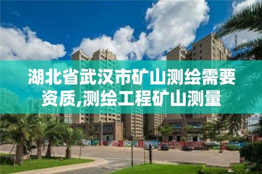 湖北省武汉市矿山测绘需要资质,测绘工程矿山测量