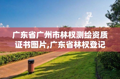 广东省广州市林权测绘资质证书图片,广东省林权登记管理办法。