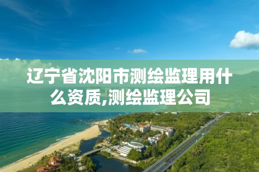 辽宁省沈阳市测绘监理用什么资质,测绘监理公司