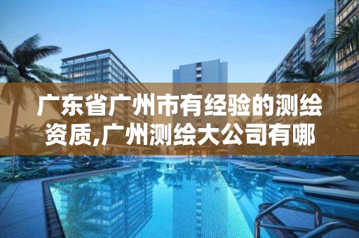 广东省广州市有经验的测绘资质,广州测绘大公司有哪些