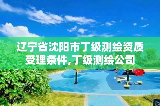 辽宁省沈阳市丁级测绘资质受理条件,丁级测绘公司