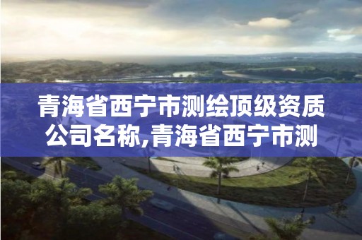 青海省西宁市测绘顶级资质公司名称,青海省西宁市测绘顶级资质公司名称是什么。