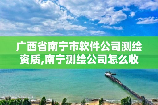 广西省南宁市软件公司测绘资质,南宁测绘公司怎么收费标准