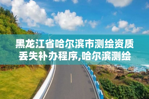 黑龙江省哈尔滨市测绘资质丢失补办程序,哈尔滨测绘局幼儿园是民办还是公办