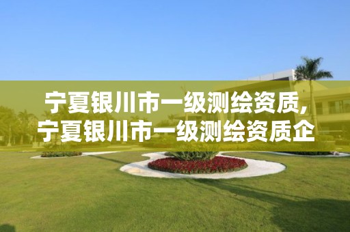 宁夏银川市一级测绘资质,宁夏银川市一级测绘资质企业名单