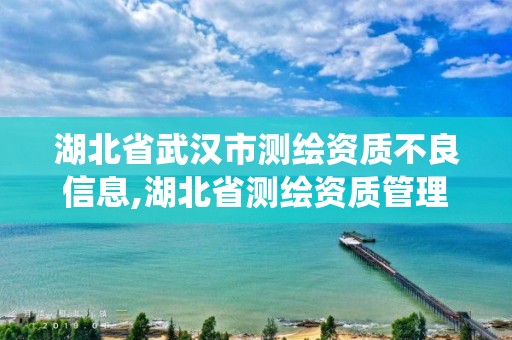 湖北省武汉市测绘资质不良信息,湖北省测绘资质管理系统