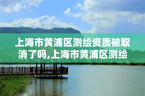 上海市黄浦区测绘资质被取消了吗,上海市黄浦区测绘资质被取消了吗今天