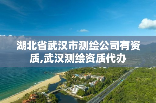 湖北省武汉市测绘公司有资质,武汉测绘资质代办