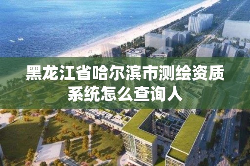 黑龙江省哈尔滨市测绘资质系统怎么查询人