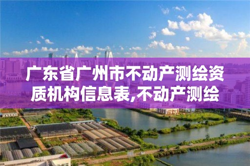 广东省广州市不动产测绘资质机构信息表,不动产测绘员职业资格证书。