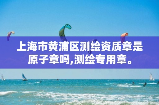 上海市黄浦区测绘资质章是原子章吗,测绘专用章。