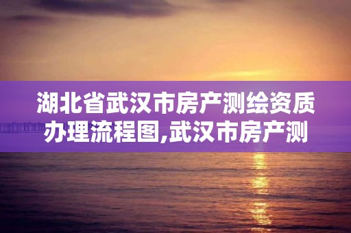 湖北省武汉市房产测绘资质办理流程图,武汉市房产测绘中心简介。