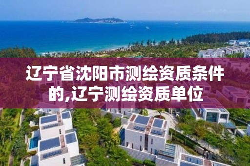 辽宁省沈阳市测绘资质条件的,辽宁测绘资质单位