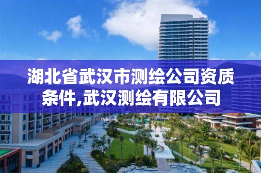 湖北省武汉市测绘公司资质条件,武汉测绘有限公司