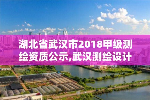 湖北省武汉市2018甲级测绘资质公示,武汉测绘设计院