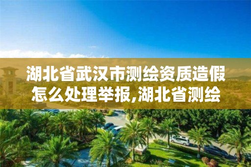 湖北省武汉市测绘资质造假怎么处理举报,湖北省测绘资质延期公告