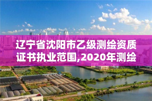 辽宁省沈阳市乙级测绘资质证书执业范围,2020年测绘资质乙级需要什么条件。