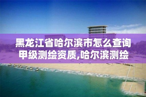 黑龙江省哈尔滨市怎么查询甲级测绘资质,哈尔滨测绘有限公司