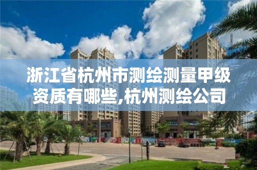 浙江省杭州市测绘测量甲级资质有哪些,杭州测绘公司有哪几家。