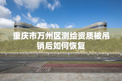 重庆市万州区测绘资质被吊销后如何恢复