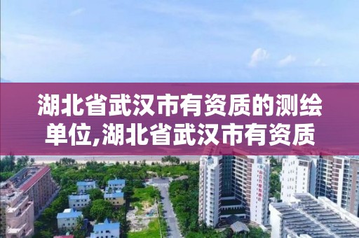 湖北省武汉市有资质的测绘单位,湖北省武汉市有资质的测绘单位有哪些