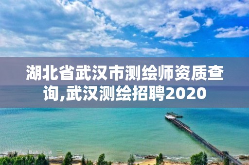 湖北省武汉市测绘师资质查询,武汉测绘招聘2020