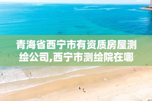 青海省西宁市有资质房屋测绘公司,西宁市测绘院在哪里