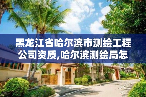 黑龙江省哈尔滨市测绘工程公司资质,哈尔滨测绘局怎么样