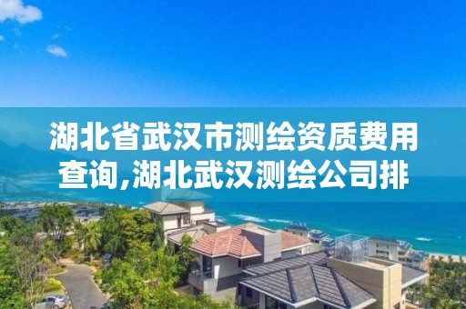 湖北省武汉市测绘资质费用查询,湖北武汉测绘公司排行榜