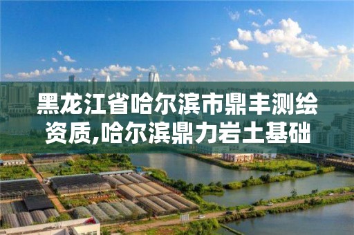 黑龙江省哈尔滨市鼎丰测绘资质,哈尔滨鼎力岩土基础工程有限公司