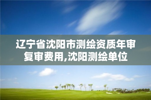 辽宁省沈阳市测绘资质年审复审费用,沈阳测绘单位