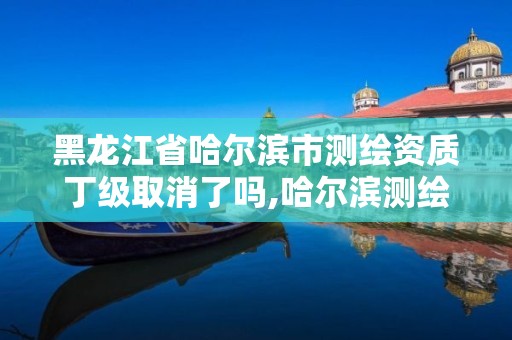 黑龙江省哈尔滨市测绘资质丁级取消了吗,哈尔滨测绘局幼儿园是民办还是公办