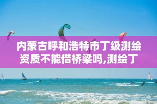 内蒙古呼和浩特市丁级测绘资质不能借桥梁吗,测绘丁级资质承接业务范围。