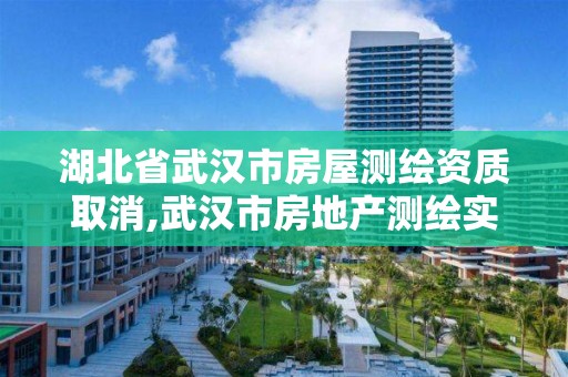 湖北省武汉市房屋测绘资质取消,武汉市房地产测绘实施细则