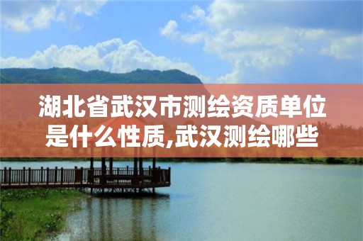 湖北省武汉市测绘资质单位是什么性质,武汉测绘哪些单位比较好。