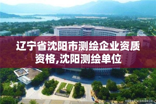 辽宁省沈阳市测绘企业资质资格,沈阳测绘单位