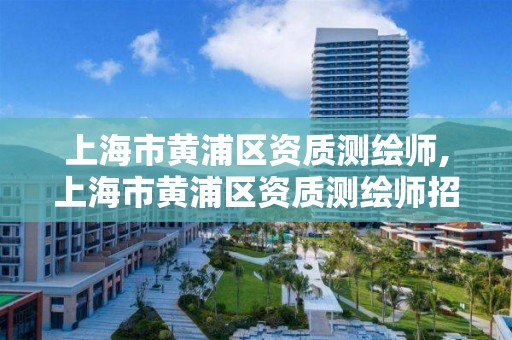 上海市黄浦区资质测绘师,上海市黄浦区资质测绘师招聘