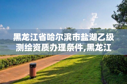 黑龙江省哈尔滨市盐湖乙级测绘资质办理条件,黑龙江测绘公司乙级资质。