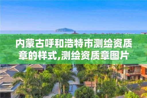 内蒙古呼和浩特市测绘资质章的样式,测绘资质章图片