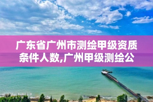 广东省广州市测绘甲级资质条件人数,广州甲级测绘公司