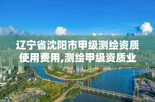 辽宁省沈阳市甲级测绘资质使用费用,测绘甲级资质业务范围。