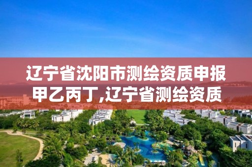 辽宁省沈阳市测绘资质申报甲乙丙丁,辽宁省测绘资质管理信息系统