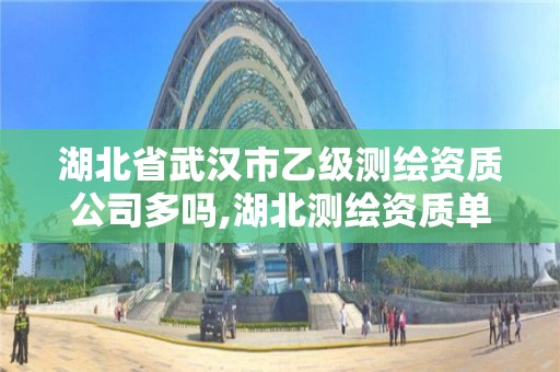 湖北省武汉市乙级测绘资质公司多吗,湖北测绘资质单位