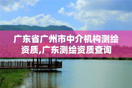 广东省广州市中介机构测绘资质,广东测绘资质查询